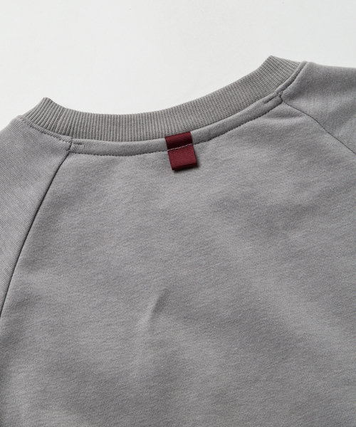 Reebok（リーボック）の「SWEAT TEE for ZOZOTOWN（Tシャツ/カットソー・メンズ・グレー・S/M/L/XL）」の9枚目の写真