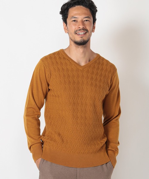 MEN'S BIGI（メンズビギ）の「12Gジャガードニット（ニット/セーター・メンズ・マスタード/ライトベージュ/パープル/ターコイズブルー・02/01/03）」の9枚目の写真