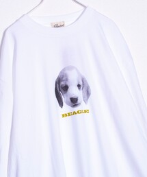 【新柄追加】【GLOSTER/グロスター】DOG&CAT 犬猫プリント クルーネックロンT