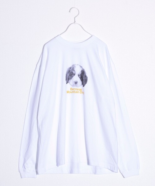 GLOSTER(グロスター)の「【新柄追加】【GLOSTER/グロスター】DOG&CAT 犬猫プリント クルーネックロンT(Tシャツ/カットソー・メンズ・ホワイト系その他4/ホワイト系その他2/ホワイト系その他3/ホワイト系その他/ホワイト系その他5/その他/ホワイト系その他6/ホワイト系その他7・S/L/M)」の15枚目の写真