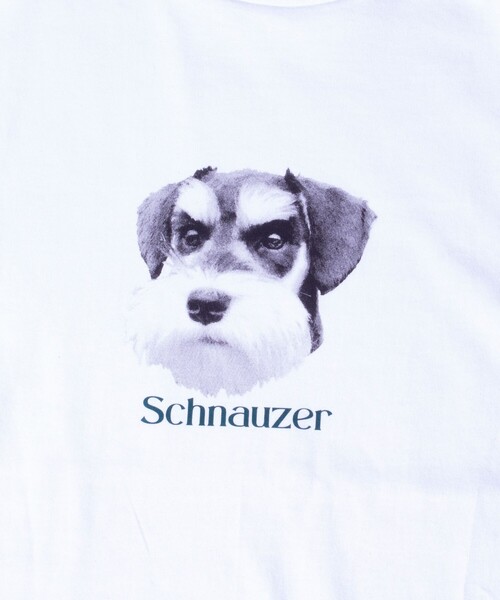 GLOSTER(グロスター)の「【新柄追加】【GLOSTER/グロスター】DOG&CAT 犬猫プリント クルーネックロンT(Tシャツ/カットソー・メンズ・ホワイト系その他4/ホワイト系その他2/ホワイト系その他3/ホワイト系その他/ホワイト系その他5/その他/ホワイト系その他6/ホワイト系その他7・S/L/M)」の19枚目の写真