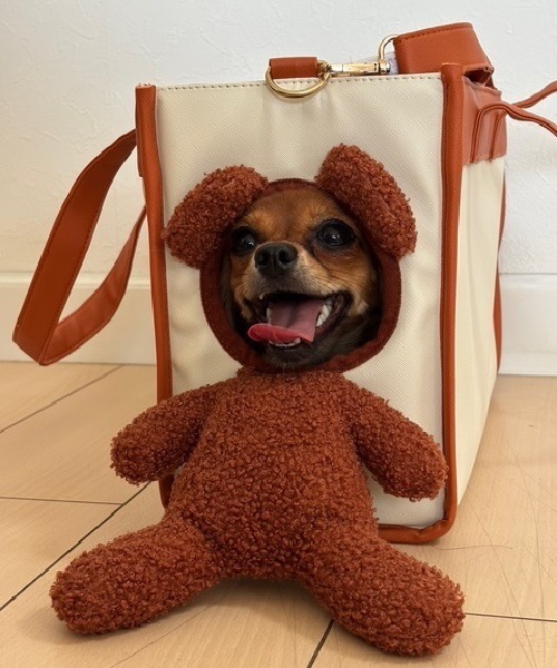vivi♪ ♥︎ キャリーバック　鍵付き♪ ♥︎ VIVAYOU キャリーケース 鍵付き ピンク ヒョウ柄 キャリーバッグ