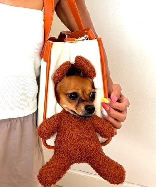eico様 オーダー専用　キャリーでおでかけ　ブラックタンチワワちゃん 🌟ワンちゃんのご紹介です🌟 🐶#チワワ 🎂2025年5月20日生まれ