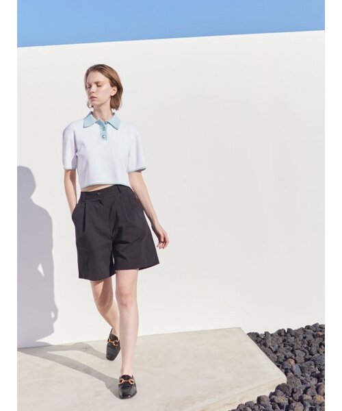 AYIHOLIC CASHMERE（アイホリックカシミア）の「配色ダンパークロップポロ（ニット/セーター・レディース・その他・FREE）」の4枚目の写真