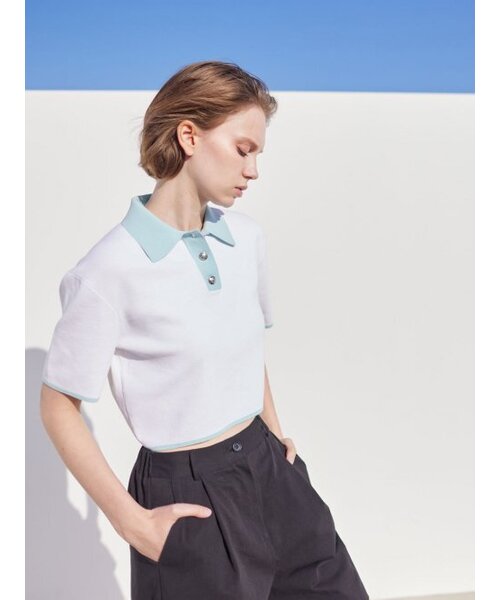 AYIHOLIC CASHMERE（アイホリックカシミア）の「配色ダンパークロップポロ（ニット/セーター・レディース・その他・FREE）」の5枚目の写真