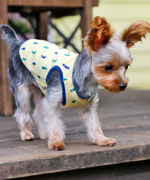 犬と生活 いぬとせいかつ たつのおとしごタンク 犬服 ドッグウェア ペットウェア 犬と生活 イヌトセイカツ のファッション通販 Zozotown