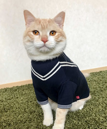 猫の暮らし/セーラーティーシャツ キャット/猫用品