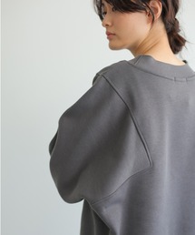 AMERICAN HOLIC | アーム切り替え裏毛プルオーバー(スウェット)