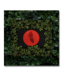 BEAMS RECORDS（ビームスレコーズ）の「【LP】Moses Sumny / "Live" From Blackalachia ＜Tuntum＞（レコード）」