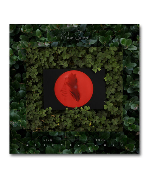 BEAMS RECORDS（ビームスレコーズ）の「【LP】Moses Sumny / "Live" From Blackalachia ＜Tuntum＞（レコード・メンズ・その他・ONE SIZE）」の2枚目の写真