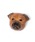 studio CLIPiX^fBINbvj́uAj}tFCXu[`iu[`/RT[Wjvb̑1