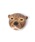 studio CLIPiX^fBINbvj́uAj}tFCXu[`iu[`/RT[Wjvb̑3
