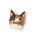studio CLIPiX^fBINbvj́uAj}tFCXu[`iu[`/RT[Wjvb̑4