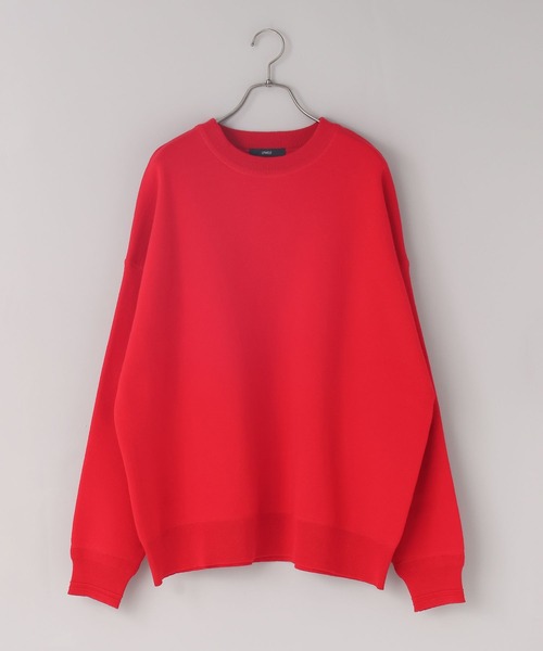 LOWRYS FARM（ローリーズファーム）の「【LFM(U)】スウェットライクニットクルー　 633430（ニット/セーター・メンズ・グレー/レッド/ネイビー/イエロー・FREE）」の16枚目の写真