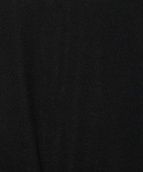 COMME CA（コムサ）の「〔 TALLサイズ 〕 シルキー天竺ニット ポロニットプルオーバー（ニット/セーター・レディース・キナリ・15号）」の16枚目の写真