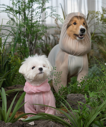 DOGI（ドッグアイ）の「子犬用害虫防止服オールインワンバグガードスーツピンク（ペットウェア）」