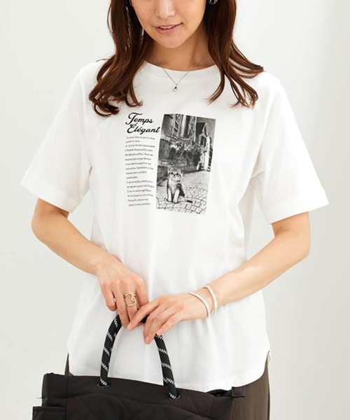 BELLUNA PLUS(ベルーナ)の「コットン100%着映えネコ柄プリントTシャツ(Tシャツ/カットソー・レディース・ブラック/ラベンダー/セージグリーン/オフホワイト・MEDIUM/X-LARGE/LARGE)」の5枚目の写真