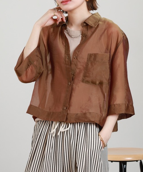 Anna Nicola(アンナニコラ)の「Anna Nicola シアーショートシャツ 半端袖(シャツ/ブラウス・レディース・ブラック/モカ/テラコッタ・38)」の2枚目の写真