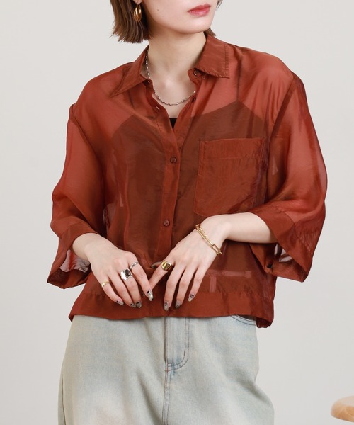 Anna Nicola(アンナニコラ)の「Anna Nicola シアーショートシャツ 半端袖(シャツ/ブラウス・レディース・ブラック/モカ/テラコッタ・38)」の13枚目の写真