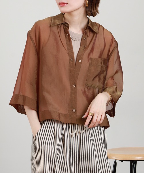 Anna Nicola(アンナニコラ)の「Anna Nicola シアーショートシャツ 半端袖(シャツ/ブラウス・レディース・ブラック/モカ/テラコッタ・38)」の21枚目の写真