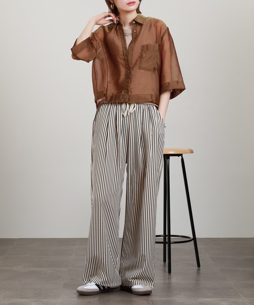 Anna Nicola(アンナニコラ)の「Anna Nicola シアーショートシャツ 半端袖(シャツ/ブラウス・レディース・ブラック/モカ/テラコッタ・38)」の19枚目の写真