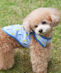 犬と生活（イヌトセイカツ）の「犬と生活/いぬとせいかつ/たつのおとしごタンク/犬服(ドッグウェア)（ペットウェア）」