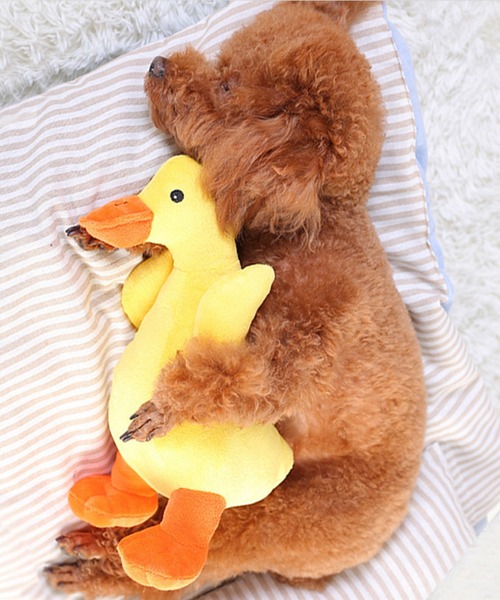 鴨ちゃんペット用おもちゃ ペット用おもちゃ Aimoha アイモハ のファッション通販 Zozotown