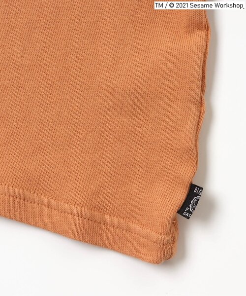 F.O.KIDS(エフオーキッズ)の「セサミストリートコラボTシャツ(Tシャツ/カットソー・キッズ・グレー/オレンジ/ミント・90/80/95/100/110/120/130/140)」の7枚目の写真