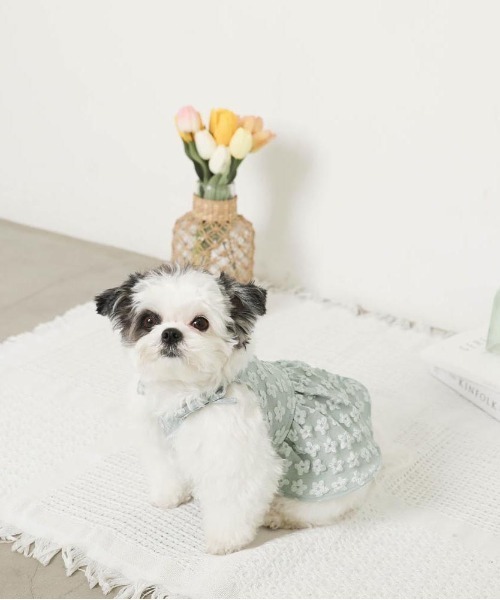 moncheri（モンシェリ）の「冷感花柄ぽこぽこキャミワンピース【接触冷感・簡単着脱】（ペットウェア・レディース・グリーン/アイボリー・S/M/L/XL/XS）」の3枚目の写真