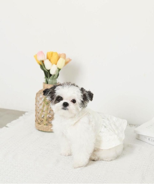 moncheri（モンシェリ）の「冷感花柄ぽこぽこキャミワンピース【接触冷感・簡単着脱】（ペットウェア・レディース・グリーン/アイボリー・S/M/L/XL/XS）」の4枚目の写真