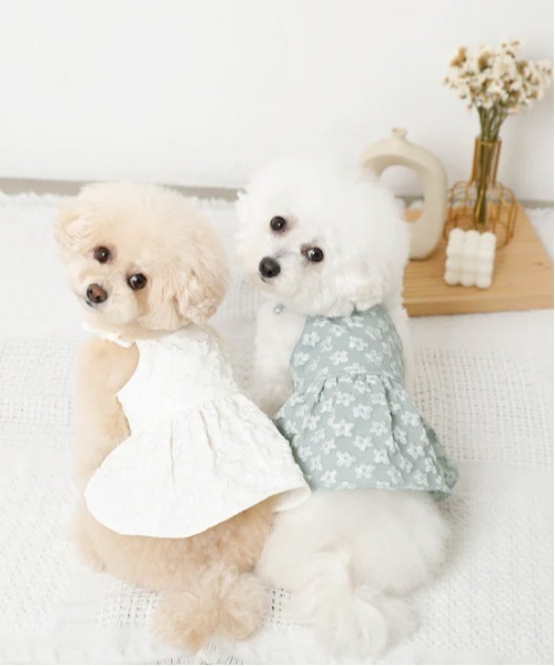 moncheri（モンシェリ）の「冷感花柄ぽこぽこキャミワンピース【接触冷感・簡単着脱】（ペットウェア・レディース・グリーン/アイボリー・S/M/L/XL/XS）」の18枚目の写真