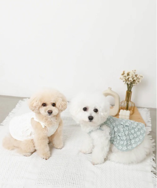 moncheri（モンシェリ）の「冷感花柄ぽこぽこキャミワンピース【接触冷感・簡単着脱】（ペットウェア・レディース・グリーン/アイボリー・S/M/L/XL/XS）」の12枚目の写真