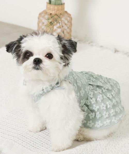 moncheri（モンシェリ）の「冷感花柄ぽこぽこキャミワンピース【接触冷感・簡単着脱】（ペットウェア・レディース・グリーン/アイボリー・S/M/L/XL/XS）」の19枚目の写真