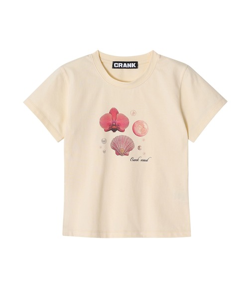 CRANK（クランク）の「CRANK／SHELLプリントT（Tシャツ/カットソー・レディース・イエロー/ホワイト・FREE）」の16枚目の写真