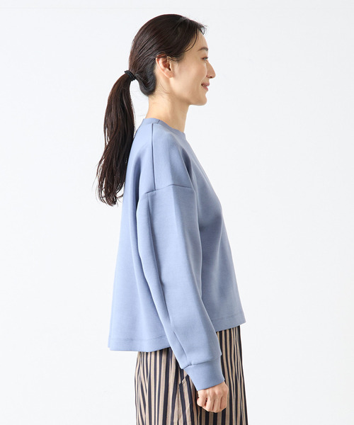 LOGEMENT DE CLAIRE(ロジュモンドクレール)の「クルーネックプルオーバー(Tシャツ/カットソー・レディース・ブルー/ライトグレー/ブラック・FREE)」の17枚目の写真