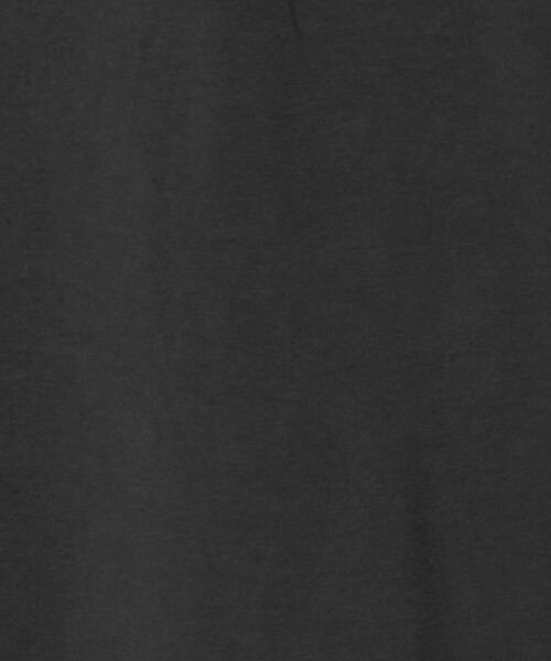 green label relaxing(グリーンレーベルリラクシング)の「【WEB限定】<at ease>ヘンリーネック カットソー ワンピース(ワンピース・レディース・ダークグレー/モカ・FREE)」の10枚目の写真