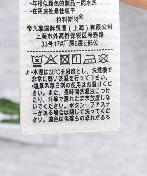 LACOSTE(ラコステ)の「【WEB限定】LACOSTE: クルーネック ポケット Tシャツ TH5846L(Tシャツ/カットソー・メンズ・ホワイト/ブラック/グレー/ネイビー・SMALL/X-LARGE/MEDIUM/LARGE/XX-LARGE)」の5枚目の写真