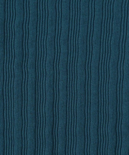 HARE（ハレ）の「ソデレースアップリブTシャツ(HARE)（Tシャツ/カットソー・レディース・ブルー/ブラック・FREE）」の3枚目の写真