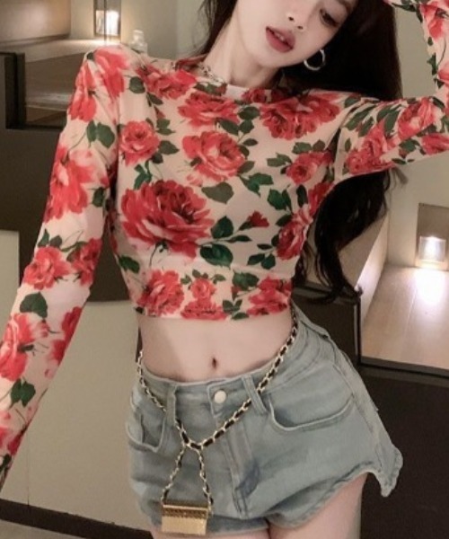 Jayro(ジャイロ)の「花柄シアークロップド丈ロンT(Tシャツ/カットソー・レディース・ダークブラウン/レッド・FREE)」の1枚目の写真
