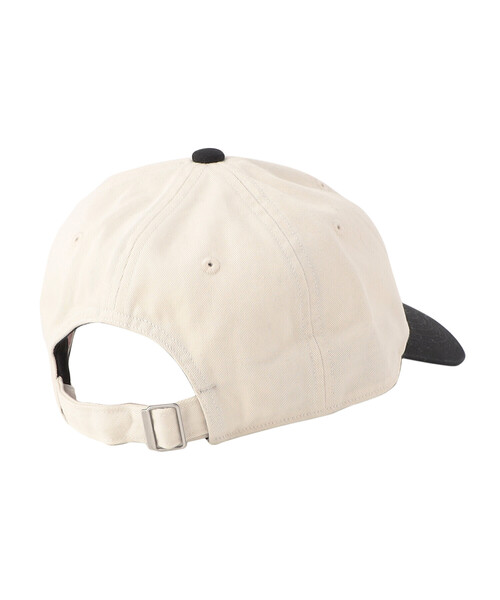 CHINO CLOTH 6PANEL CAP 2TONE（キャップ）｜DANTON（ダントン）