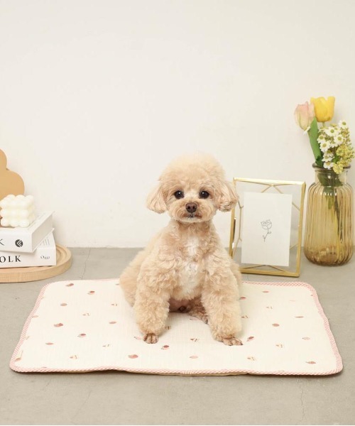 セール】ショートケーキ刺繍カフェマット（ペット用クッション/マット