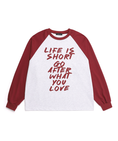 DXOH(ディソエイチ)の「ユニセックスライフナグランTシャツワイン/ホワイトメランジ(Tシャツ/カットソー・レディース・その他・FREE)」の2枚目の写真