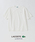 LACOSTE�i���R�X�e�j�́uLACOSTE(���R�X�e) �ʒ� �j�b�g T�V���c�iT�V���c/�J�b�g�\�[�j�v�b�z���C�g