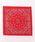 IO�i�C�I�j�i�C�I�j�́u��HAV-A-HANK��PAISLEY�@BANDANNA�i�o���_�i/�X�J�[�t�j�v�b���b�h
