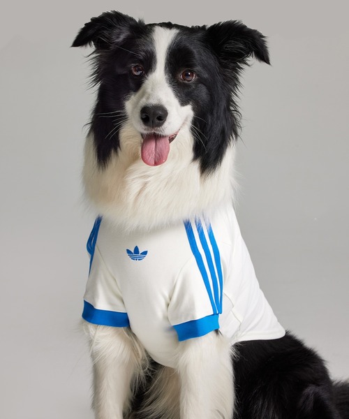 adidas(アディダス)の「ペット カリ Tシャツ / アディダスオリジナルス adidas Originals(ペットウェア・メンズ・ピンク/グリーン/ホワイト/イエロー・XX-LARGE/X-SMALL/LARGE/MEDIUM/SMALL/X-LARGE)」の2枚目の写真