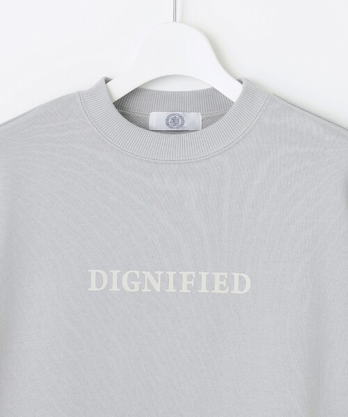 J.PRESS(ジェイプレス)の「【WEB限定】URAKE LOGO スウェット(Tシャツ/カットソー・レディース・グレー系/ブラウン系/スカイブルー系・MEDIUM/LARGE)」の16枚目の写真