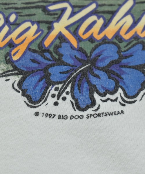 VINTAGE(ヴィンテージ)の「【ヴィンテージ古着】90’s BIG DOG “BIG ONE” プリントTシャツ(Tシャツ/カットソー・メンズ・ホワイト・LARGE)」の3枚目の写真