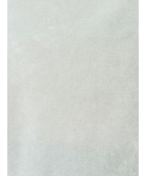 TONAL（トーナル）の「フロッキーチュールギャザースリーブトップス（Tシャツ/カットソー・レディース・ミント/グレー/ブラウン・MEDIUM）」の21枚目の写真