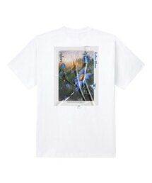 トライアングルフラワー半袖Tシャツホワイト