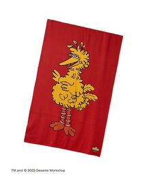 SESAME STREET（セサミストリート）の「【OUR KIND OF HOLIDAY】ブランケット（ブランケット）」